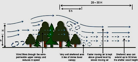 figure7.png