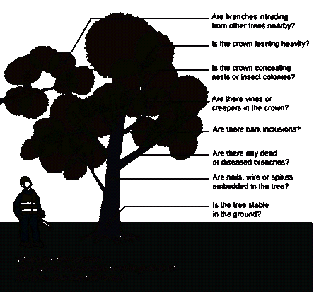 figure8.png