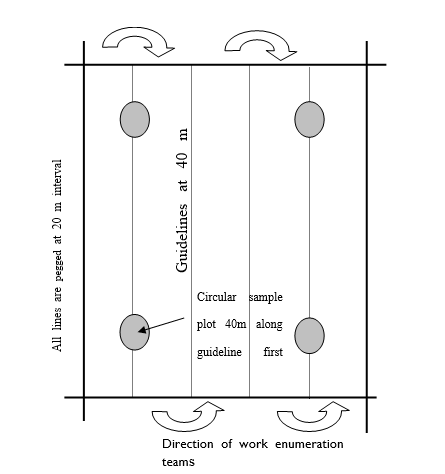 pic5.png