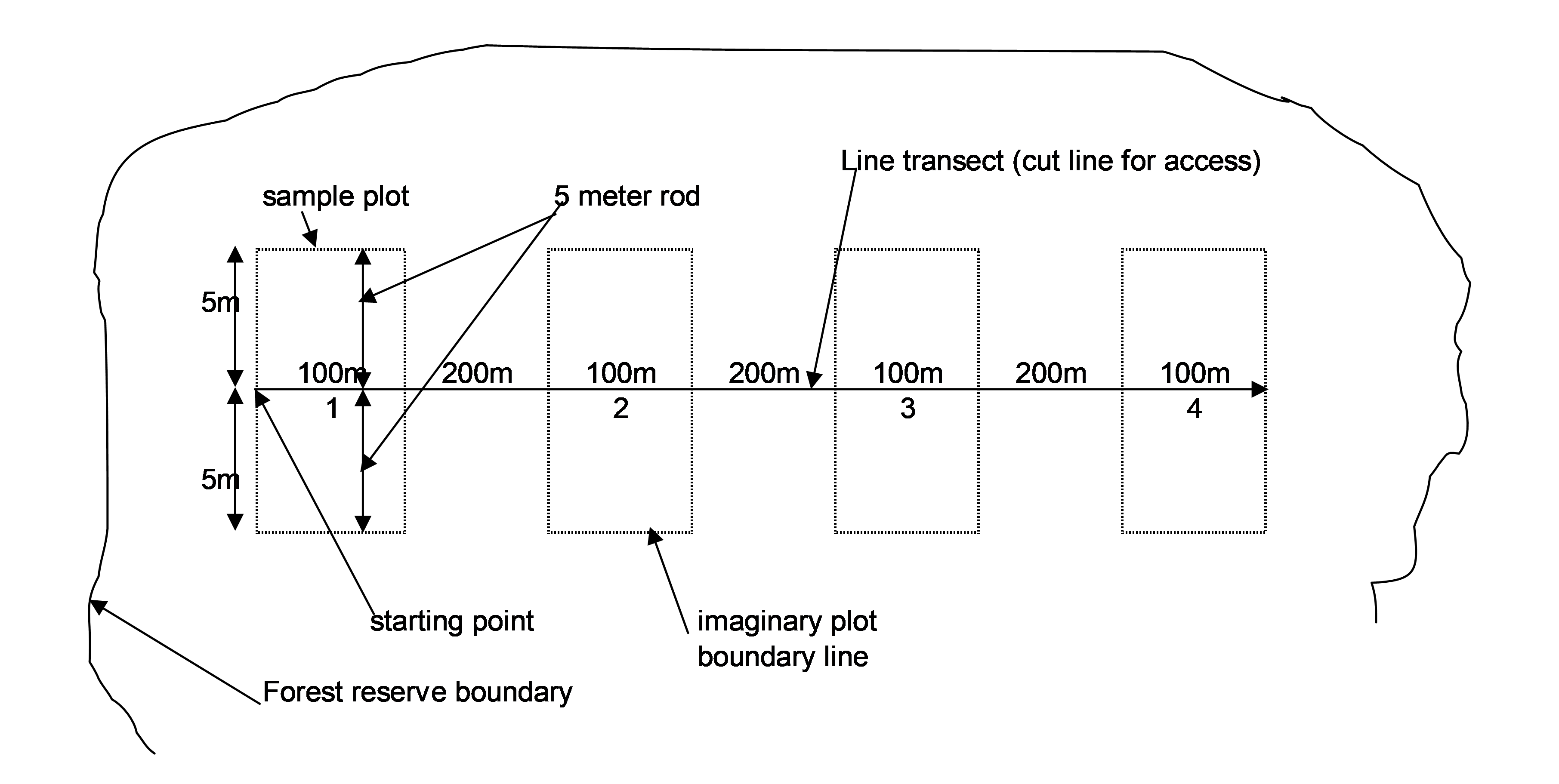 pic7.png